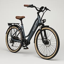 Ridden Path Bike Rental (Per Day)